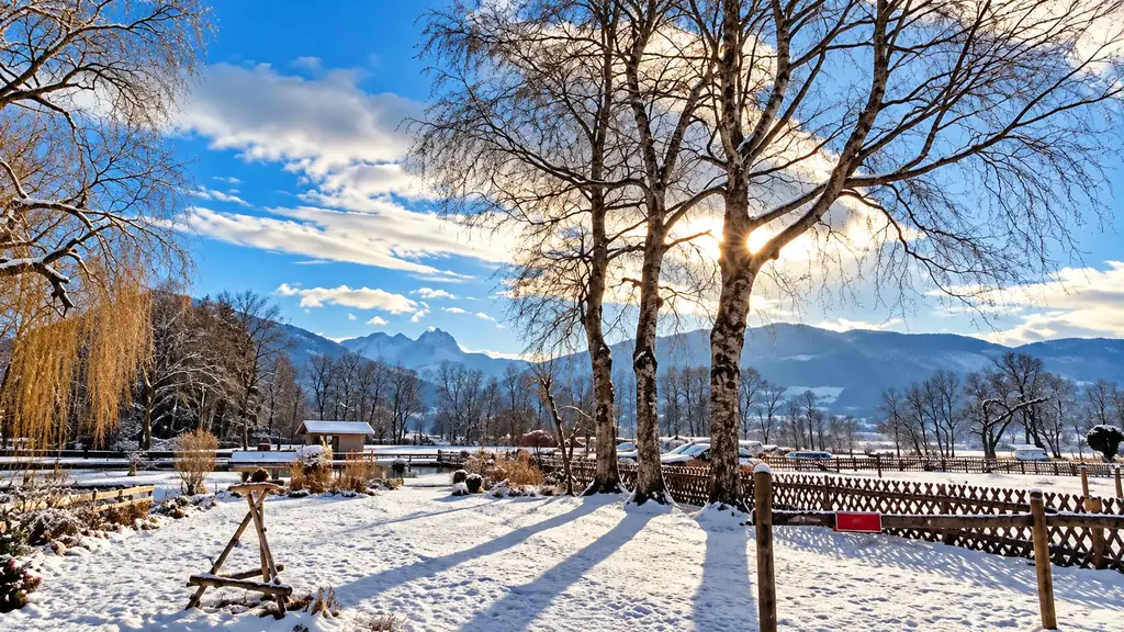 Verschneiter Garten der Moosmühle mit Birken in der Wintersonne, dahinter die Berge